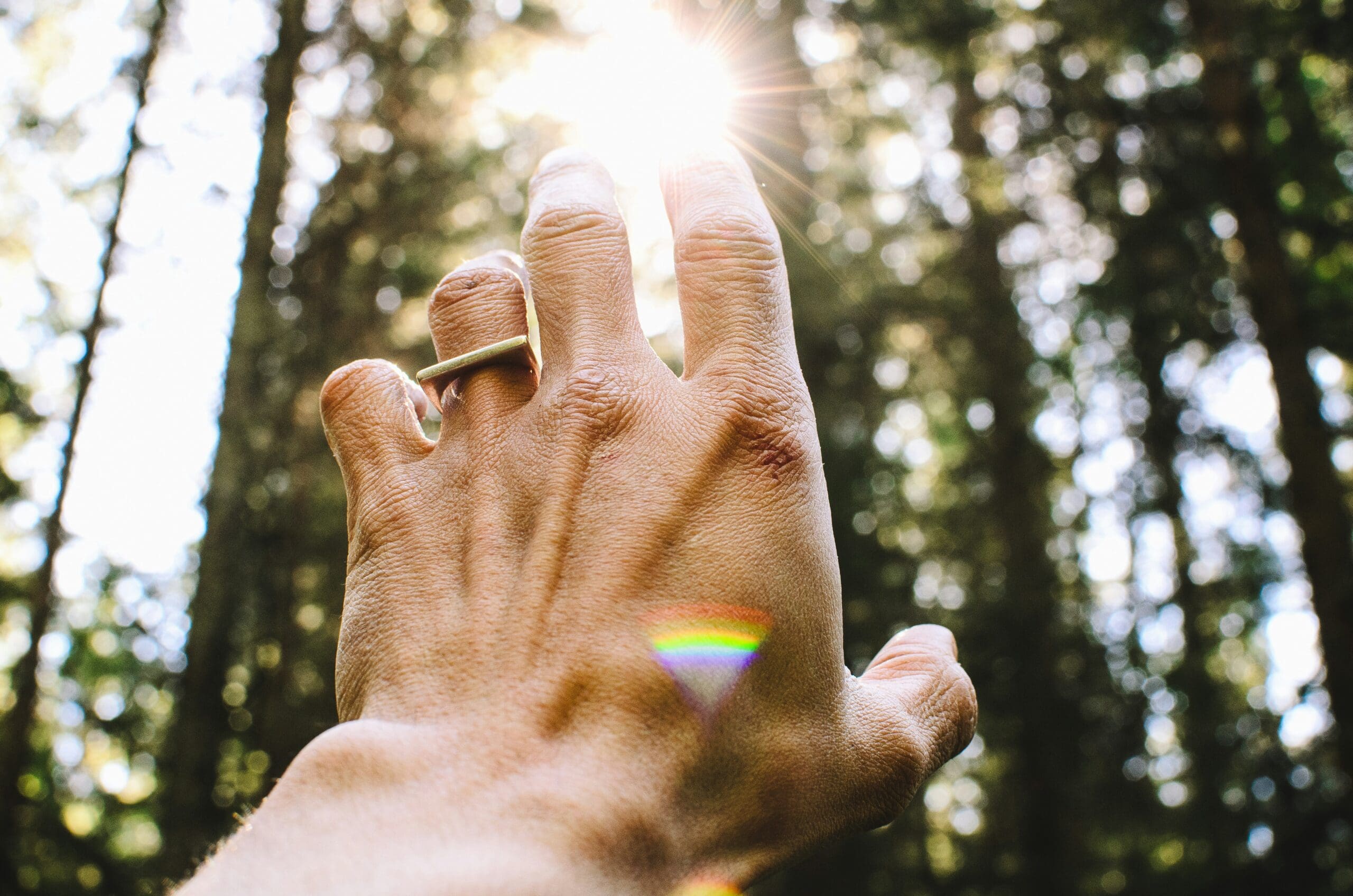 Hand reaching toward sunlight through trees representing healing, reconnection, and nervous system regulation in trauma therapy